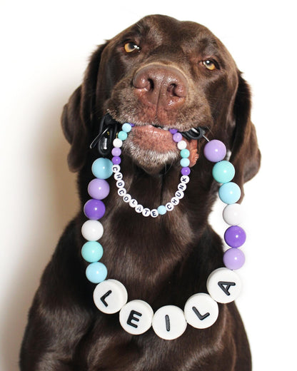 Furbond : Matching collar & bracelet