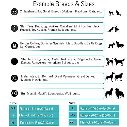 Furbond : Matching collar & bracelet