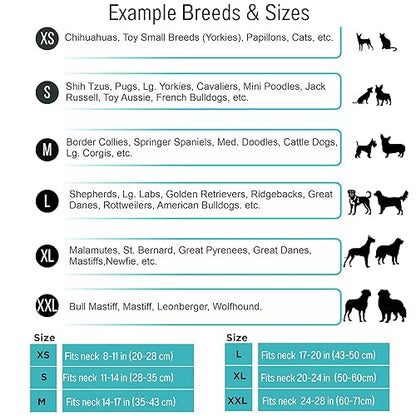 Furbond : Matching collar & bracelet